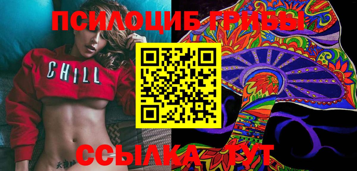Псилоцибиновые грибы мицелий Новочеркасск