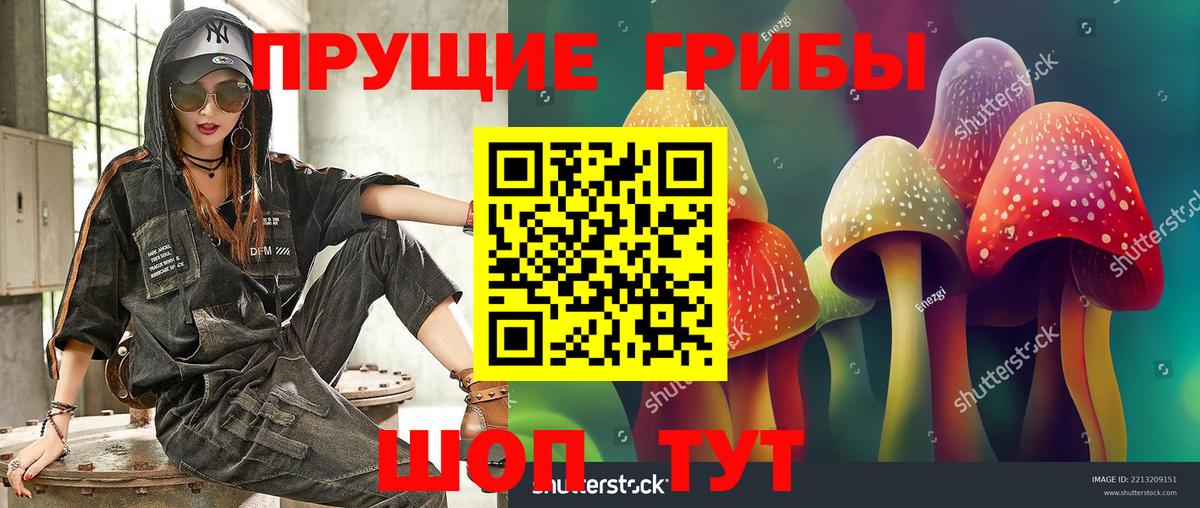 Псилоцибиновые грибы прущие грибы  Вход с VPN  Новочеркасск 